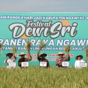 Festival Dewi Sri Implementasi Pertanian Ramah Lingkungan Berkelanjutan