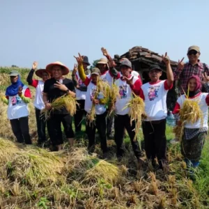 Hadiri Panen Raya, Sujatno Ungkap Perda Perlidungan Petani Belum Diperbupkan