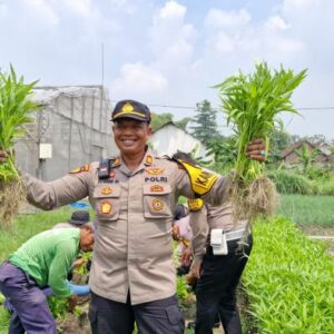 Polsek Balongbendo Bersama Warga Panen Kangkung dari Lahan Desa Bakungtemenggungan