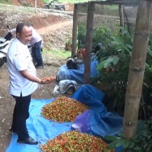 Pemkab Berharap Petani Rubah Lahan Tidur Menjadi Lahan Produktif Jadi Penyangga Pangan MGB