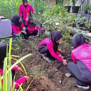 Ranting Tanggulangin Bhayangkari Cabang Kota Sidoarjo Kelolah Pekarangan Pangan Lestari