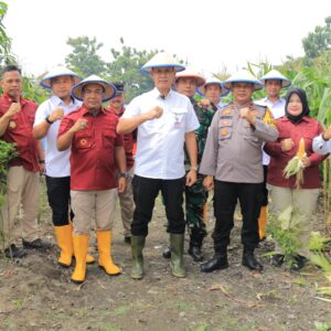 Tingkatakan Produktifitas Ketahanan Pangan, Lapas Kelas I Surabaya Sukses Panen 2 Ton Jagung
