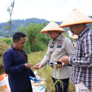 Kemenkum Jatim Dorong Beras Sintanur Lembah Raung menjadi Produk Indikasi Geografis