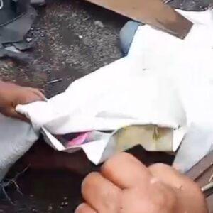 Viral !!! Seorang Pria Nekat Menabrakan Diri Ke Kereta Api