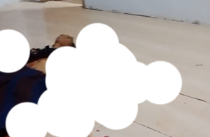 Viral Seorang Pria Tergeletak Bersimbah Darah