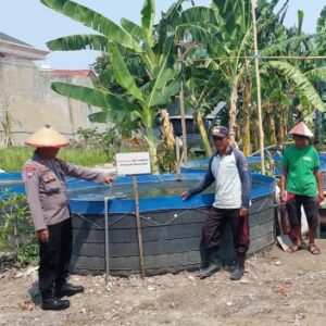 Dukung Swasembada Pangan, Bhabinkamtibmas Polsek Gedangan Tinjau Budidaya Ikan Lele dan Nila