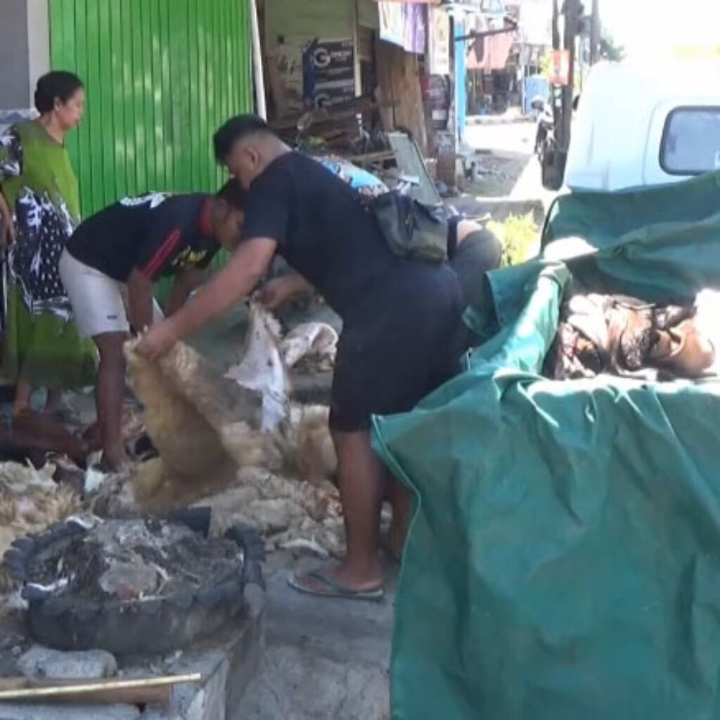 Idul Adha, Pengepul Kulit Hewan di Magetan Ketiban Berkah
