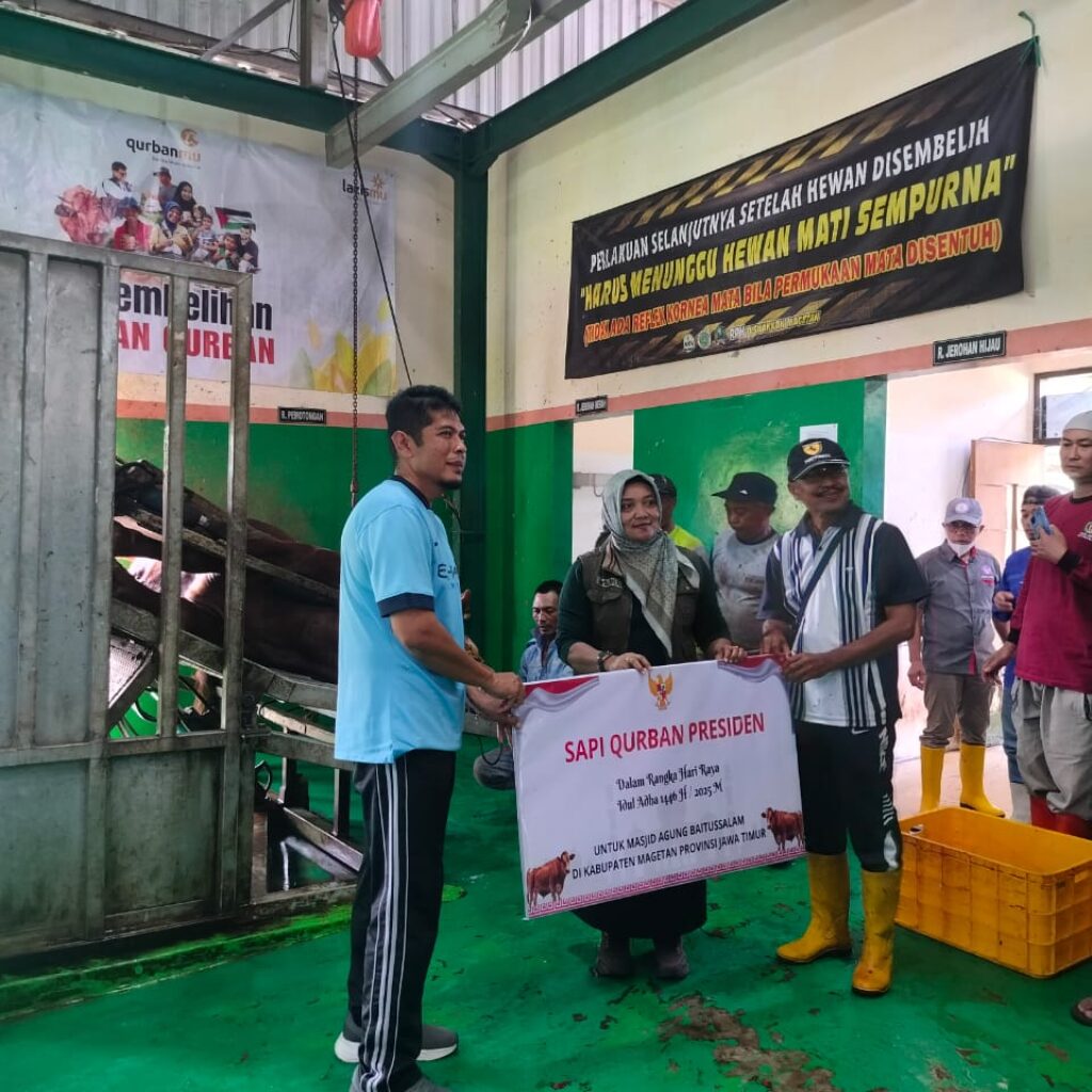 Hewan Kurban Bantuan Presiden Prabowo Disembelih di RPH Magetan