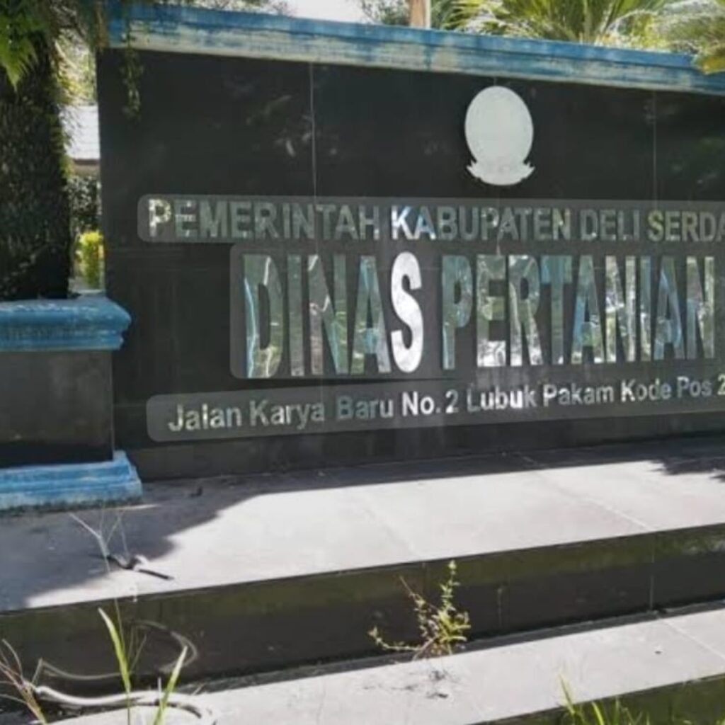 Kisruh Penyuluh di Batang Kuis: Ketahanan Pangan Deli Serdang Terancam Gagal