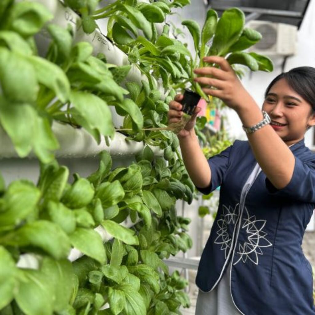 Dari Benih Hingga Panen Wujudkan Green Hotel di Aston Sidoarjo