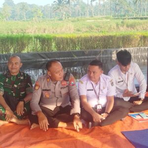Jagong Tani