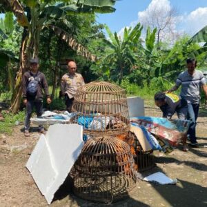 Dapatkan Laporan Masyarakat, Polsek Sedati Datangi Tempat Perjudian Sabung Ayam