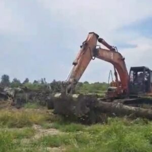 Polda Sumut Diminta Selamatkan Lahan Milik Negara dari Residivis Nakko Sitanggang di Sergai