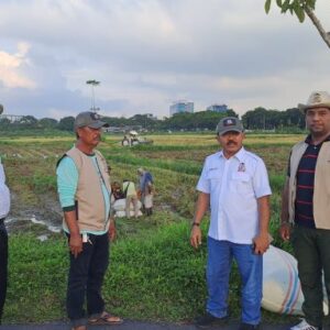 Tani Merdeka Indonesia Deli Serdang Ubah Lahan Kosong Jadi Lumbung Pangan Produktif
