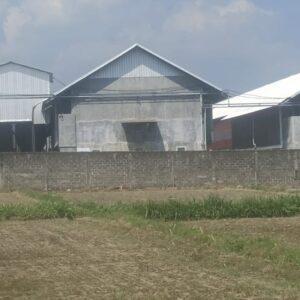 DPRD Blitar Bakal Sidak Peternakan Ayam Ilegal di Gandusari, Pemda Didesak Lakukan Penutupan