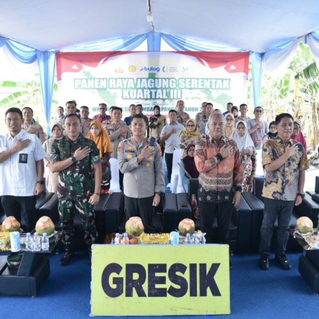 Polres Gresik Panen Jagung 5 Ton, Wujud Nyata Dukung Swasembada Pangan 2025