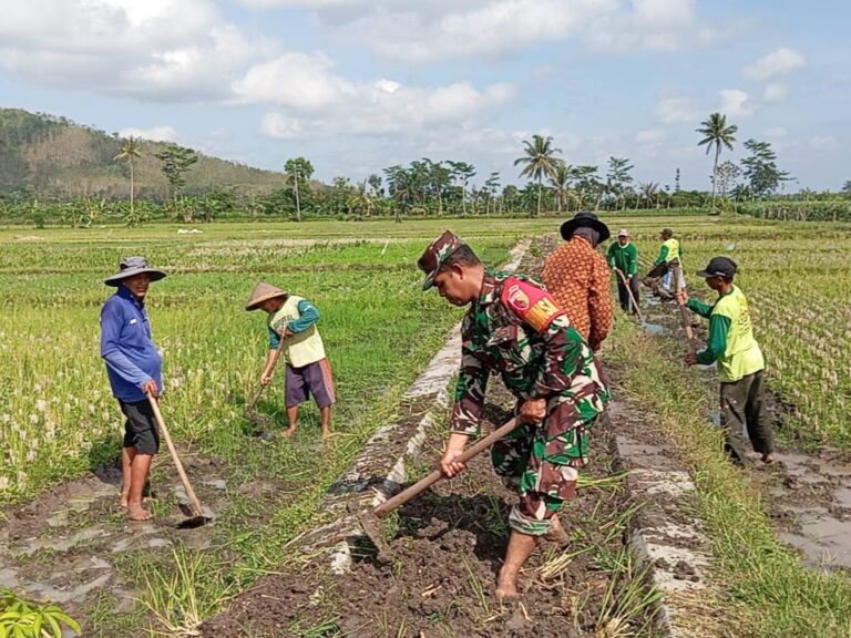 TNI Bantu Warga Timbun Jalan Pertanian Untuk Lancarkan Akses