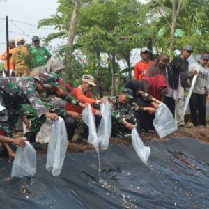 Tingkatkan Ekonomi Masyarakat, Satgas TMMD ke-126 Magetan Tebar Benih Ikan di Embung Desa