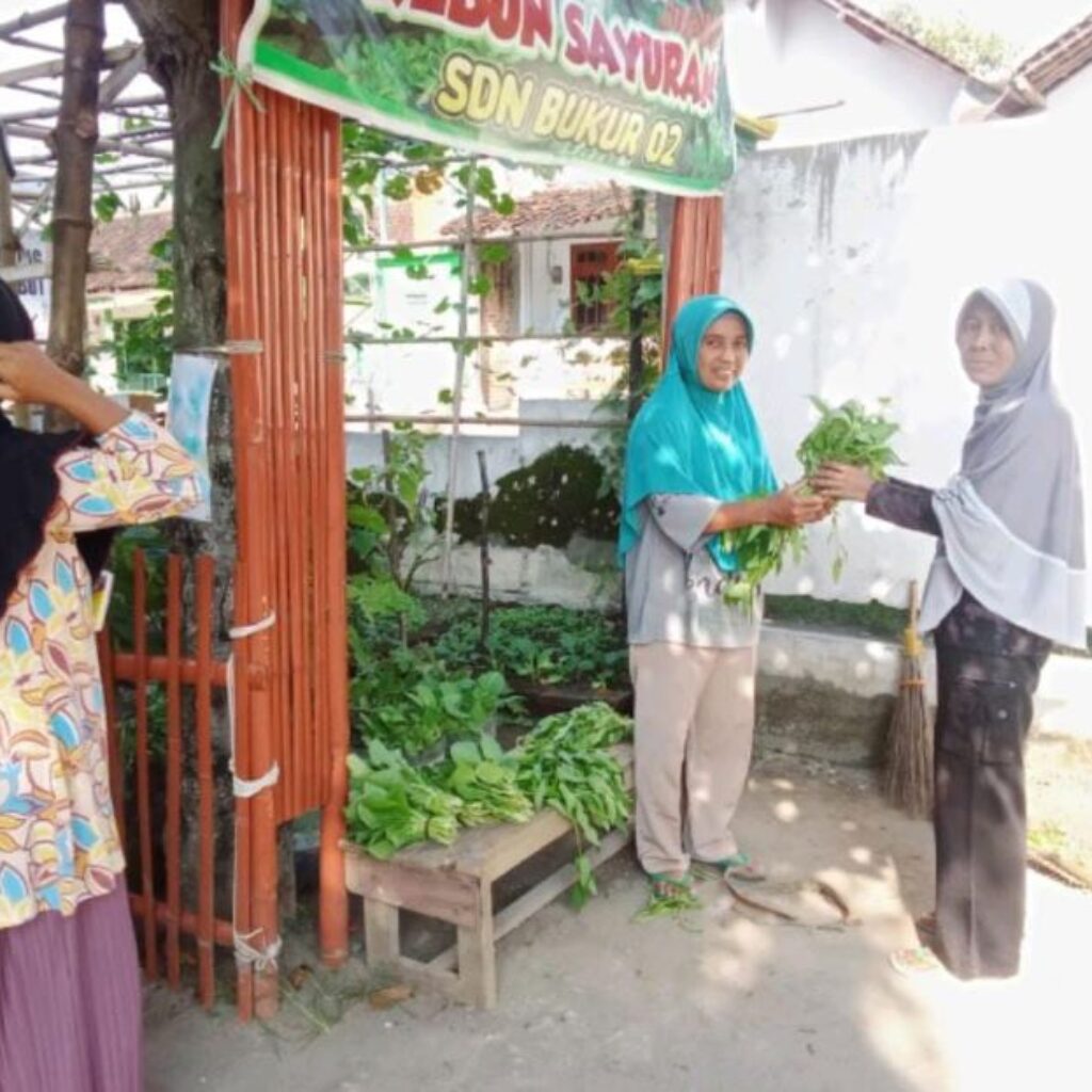 Gotong Royong Memelihara Kebun Sayuran, Upaya SDN Bukur 02 Menuju Sekolah Adiwiyata