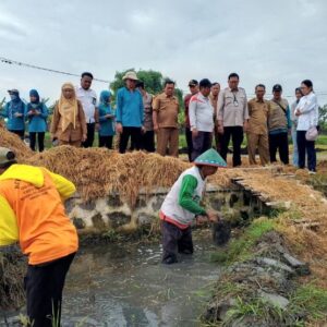 Proteksi Produksi Padi Dari Efek Negatif, Melalui Gerakan Penanganan Perubahan Iklim
