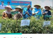 Bupati Genjot Program Unggulan Ketahanan Pangan, Deli Serdang Raih Prestasi Inflasi Terendah Per Januari 2026