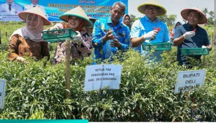 Bupati Genjot Program Unggulan Ketahanan Pangan, Deli Serdang Raih Prestasi Inflasi Terendah Per Januari 2026