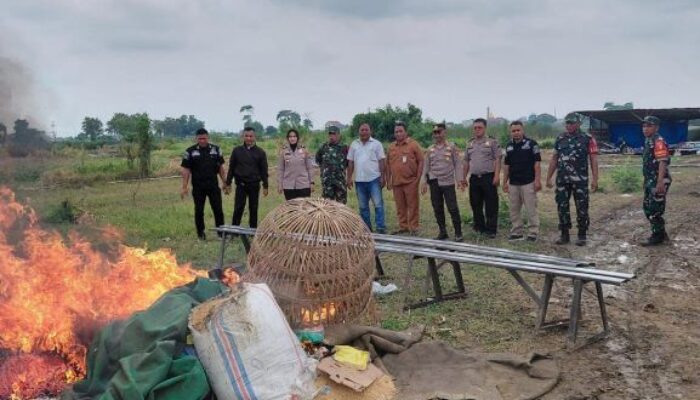 Langkah Tegas Polisi Menutup Aktivitas Judi Sabung Ayam di Desa Pepe