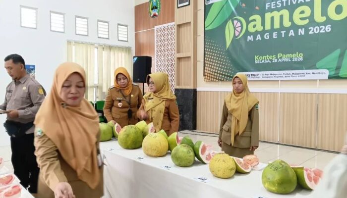 Perkuat Promosi  Buah Unggulan, Pemkab Magetan Gelar Festival Pamelo