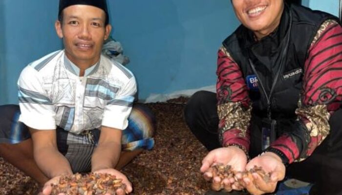 Kisah Sukses  Eko Maeran, Nasabah Binaan BRI Branch Office Madiun , Usaha Dagang Hasil Bumi Mulai Tahun 2020 Dengan Modal Usaha Mulai 10 Juta dari Bank BRI