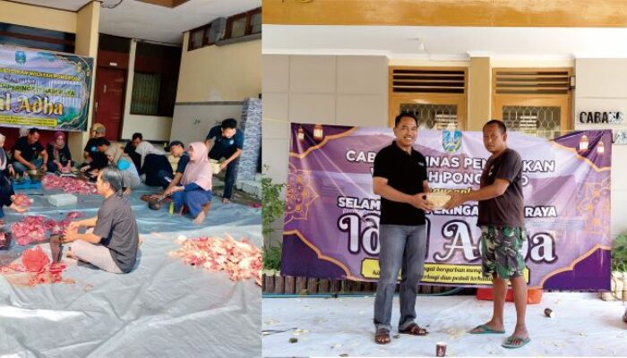 Idul Adha 2026, Cabdin Ponorogo-Magetan Sembelih 4 Ekor Sapi