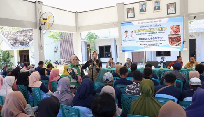 Tingkatkan Kapasitas KPM, Disnakkan Bojonegoro Gelar Bimtek Budidaya Ayam Petelur
