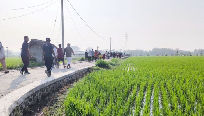 Tidak Hanya  Sebagai Akses Jalan Pertanian, Jalan Usaha Tani Desa Ronowijayan Dimanfaat Warga Untuk Jogging Track