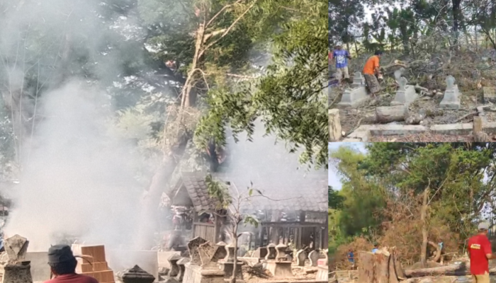 Warga RW 01 Desa Karangjati Bersihkan Sisa Pohon Asam Terbakar dan Tumbang di Area Pemakaman